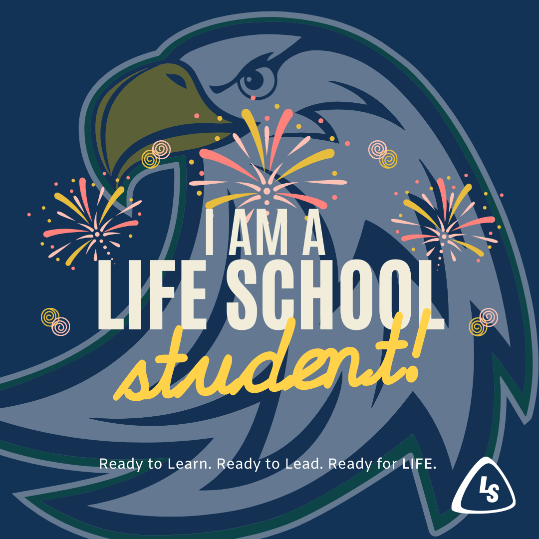 We Are LSMC Student Frame