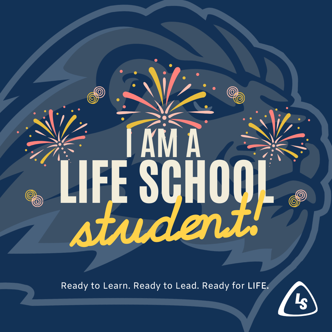 We Are LSOC Student Frame