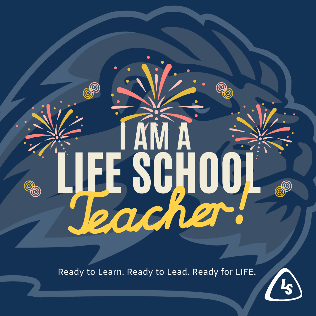 We Are LSOC Staff Frame